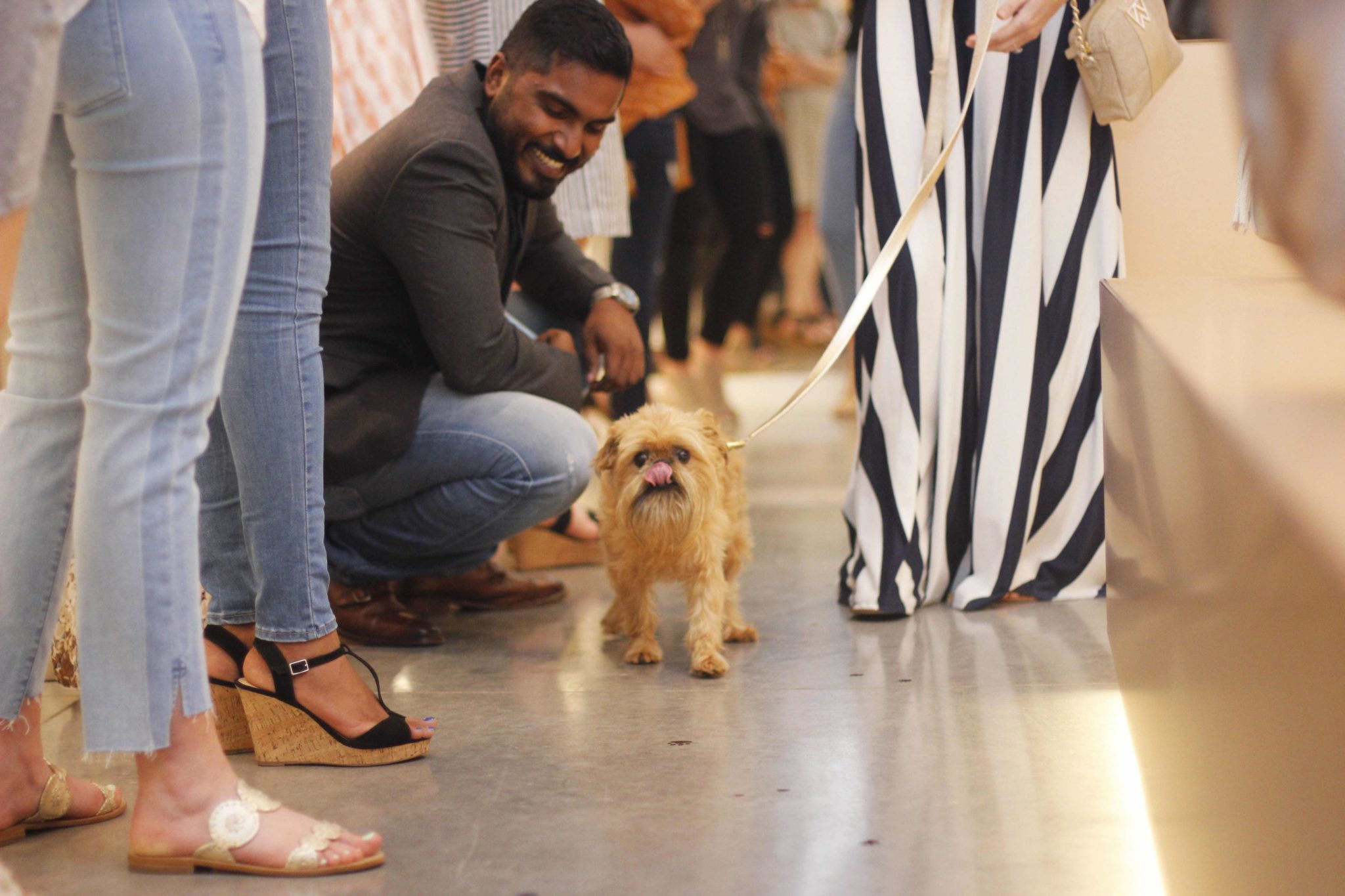 Event recap from the PAWsh Puppy Fashion Show with Kelly Wynne Handbags. Steven Jalapeño and 5 other dogs participated in the Austin Pets Alive runway way show. Click for more info and pictures.