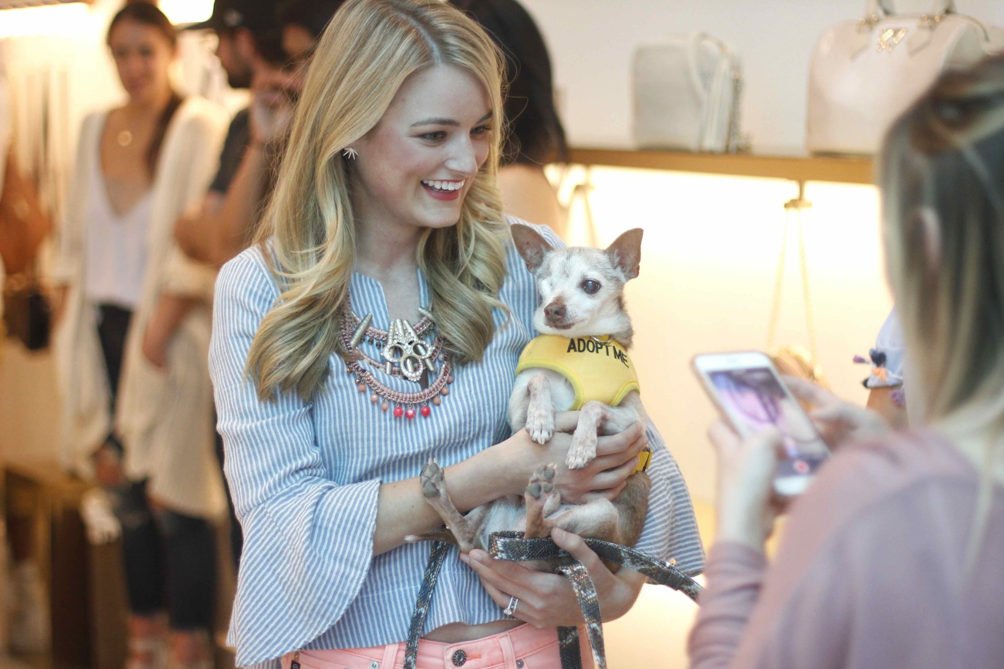 Event recap from the PAWsh Puppy Fashion Show with Kelly Wynne Handbags. Steven Jalapeño and 5 other dogs participated in the Austin Pets Alive runway way show Click for more info and pictures.