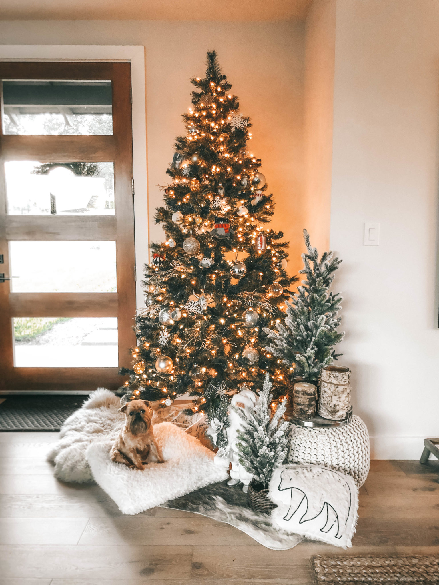 DTKAustin is sharing The Best Holiday Gift Ideas for Dogs & Their Owners. From dog beds to dog toys to dog treats this gift guide has everything you need to spoil your dog. || Dressed to Kill #petlovers #doglovers #petgiftguide #dtkaustin