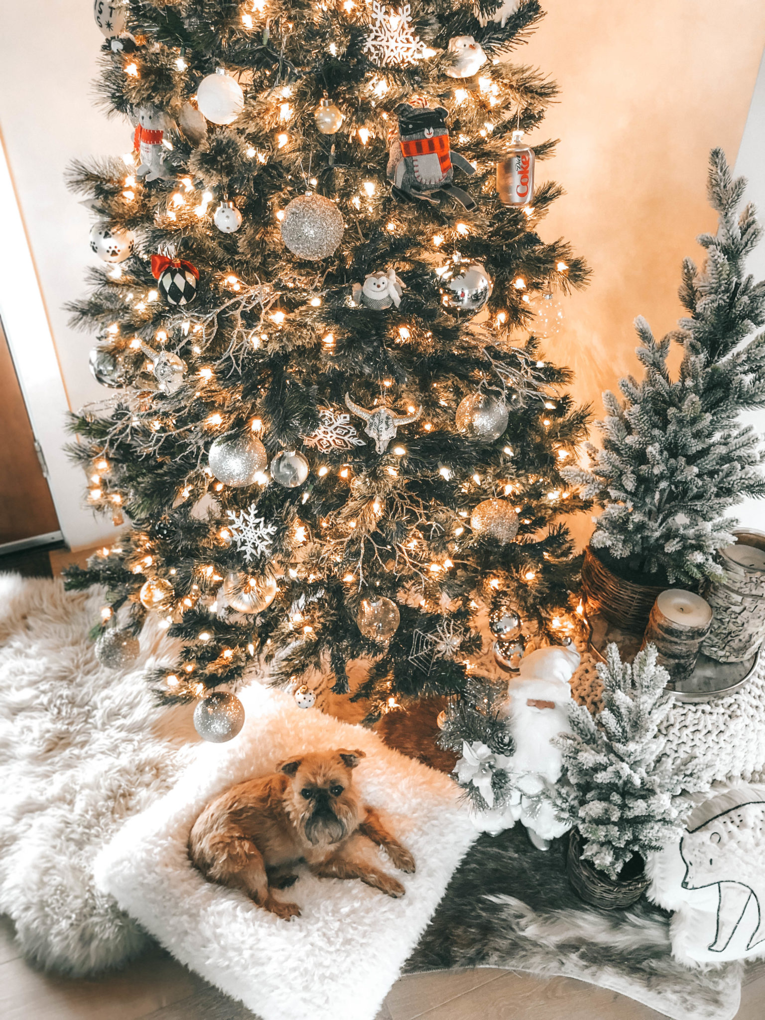 DTKAustin is sharing The Best Holiday Gift Ideas for Dogs & Their Owners. From dog beds to dog toys to dog treats this gift guide has everything you need to spoil your dog. || Dressed to Kill #petlovers #doglovers #petgiftguide #dtkaustin