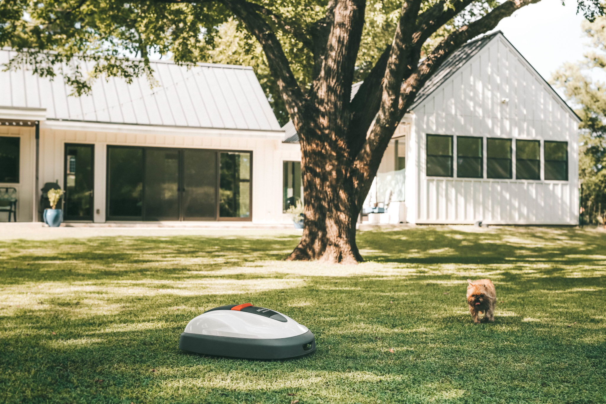 Honda Miimo Robotic Lawn Mower Review by popular Austin lifestyle blog, Dressed to Kill: image of Honda Miimo Robotic Lawn Mower.