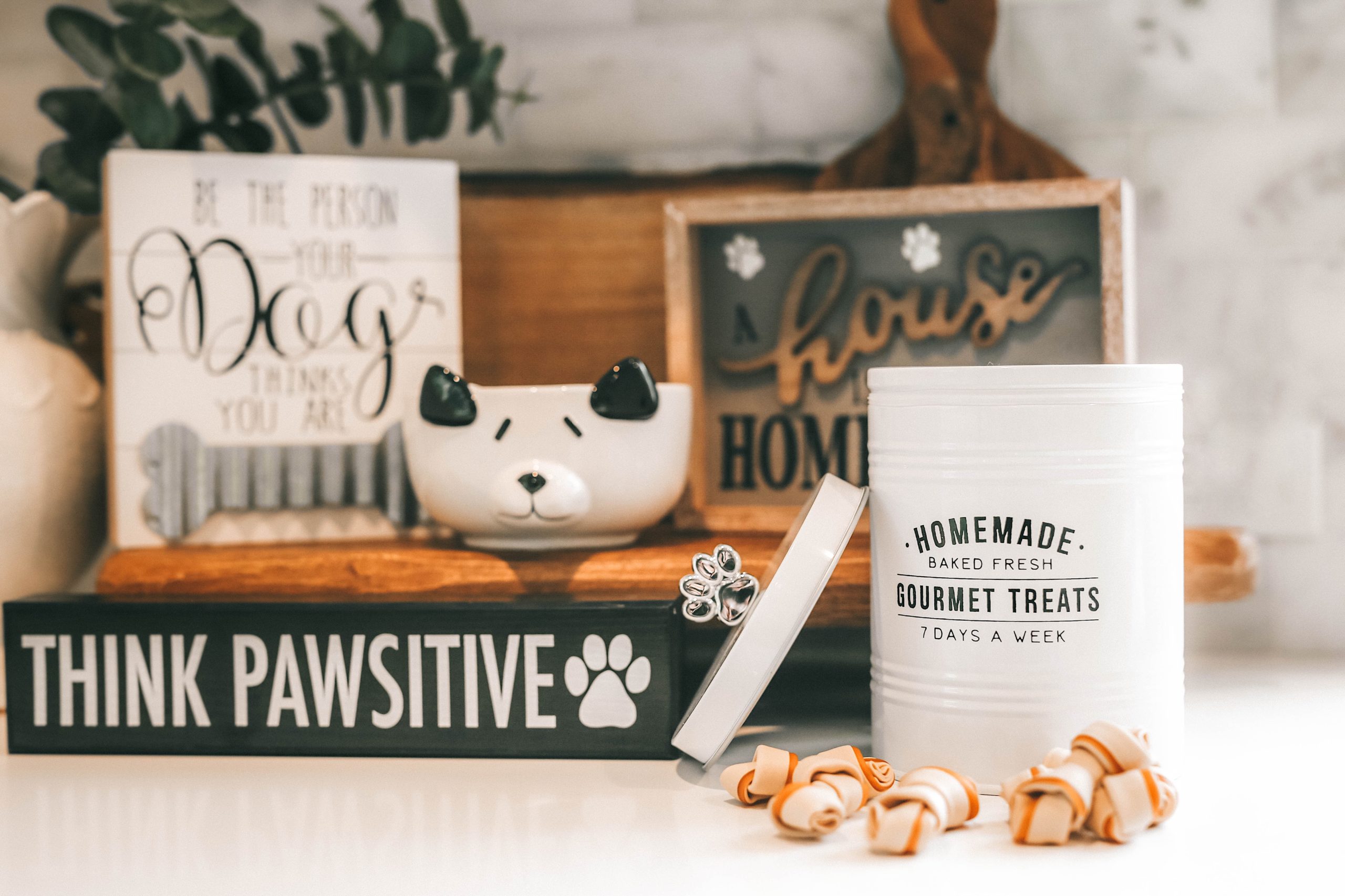 How to Pamper Your Pet by popular Nashville life and style blog, Dressed to Kill: image of various dog decor signs and a dog treat canister from Tuesday Morning. 